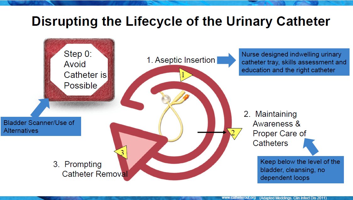 Disrupting the Lifecycle of the Urinary Catheter